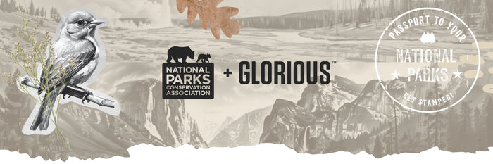 Building A Partnership - NPCA + Glorious