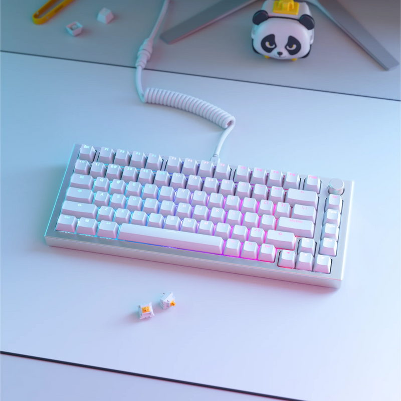 ABS Doubleshot Keycaps in White on a White Ice GMMK PRO keyboard with Ghost White coiled cable in a bright white desk setup