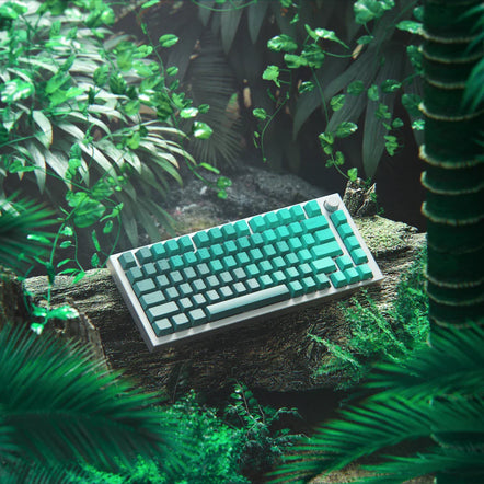 a keyboard on a log in the jungle